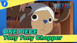 ONE PIECE|Tony Tony Chopper_1