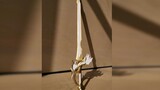Is this for real? 1:1 Ultra High Reduction Production - Wind Eagle Sword