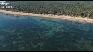 別人指責你時，別難過，不懂你的人，你再努力也是錯。魚那麼信任水，水卻煮了魚；葉子那麼信任風風卻吹落了葉子。人與人之間，全靠一顆心；情與情之間，全憑一份真，落葉知秋，落難知友，人生不易，且行且珍惜！