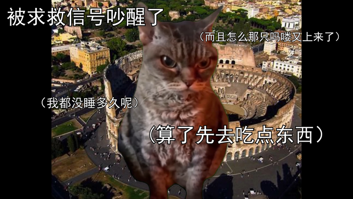 哥斯拉大战金刚2，但是猫meme