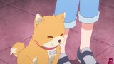 Cute Miyako (puppy)