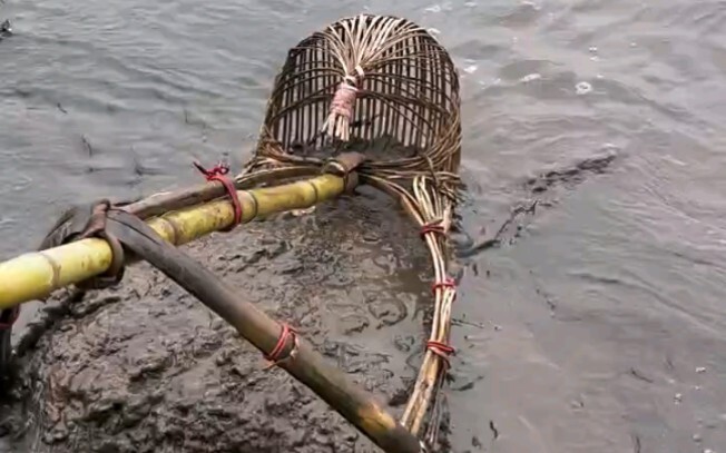 Ancestral rake fishing artifact