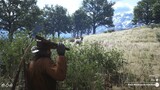 Red Dead Redemption 2 - Hunting In Cumberland Forest