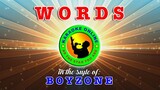 Words - In the style of Boyzone (Karaoke Version)