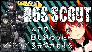 【 #アークナイツ 】R6S SCOUT  &  多元協力（危急）【にじさんじ/ドーラ】