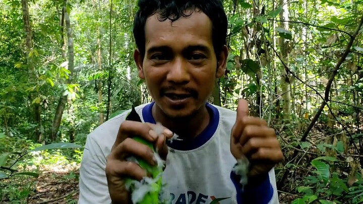 Dapat cucak ijo super Big dipenghujung tahun 2020 || mikat Part 2
