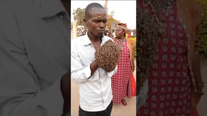 He Stole A Motorcycle And The Owner Met A Witch Doctor Who Sent Bees To Arrest Him