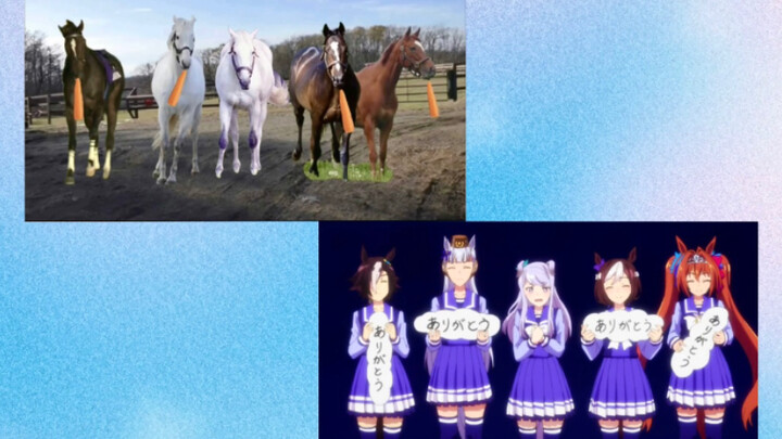 Uma Musume: Pretty Derby Đặc biệt hàng tuần Cảnh nổi tiếng Aji Masai Phiên bản ngựa thật