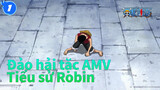 [Đảo hải tặc AMV]Tiểu sử Robin_1