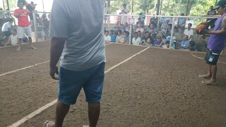 win 2nd fight (labas bituka)