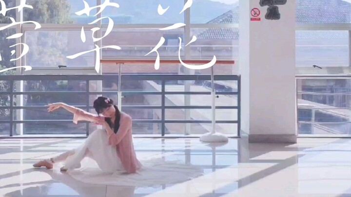 [Banxia] เต้นรำเพื่อแม่ ੭ ᐕ)੭* Daylily | เพลงประกอบเพลง "สวัสดี หลี่ฮวนหยิง"