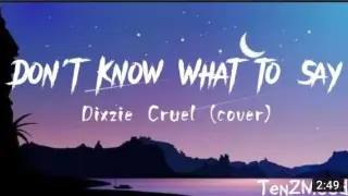Don't know what to say | Dixzie Cruel cover | (lyrics)