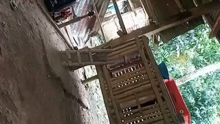 win