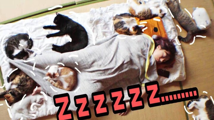 นอนกับแมว 33 ตัว แมวกระโดดโลดเต้นอย่างบ้าคลั่ง ทาสแมวนอนจนเป็นหมู