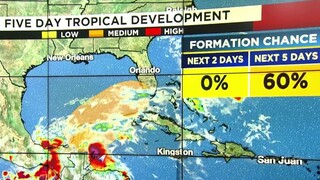 System has 60% chance of becoming tropical in Gulf of Mexico