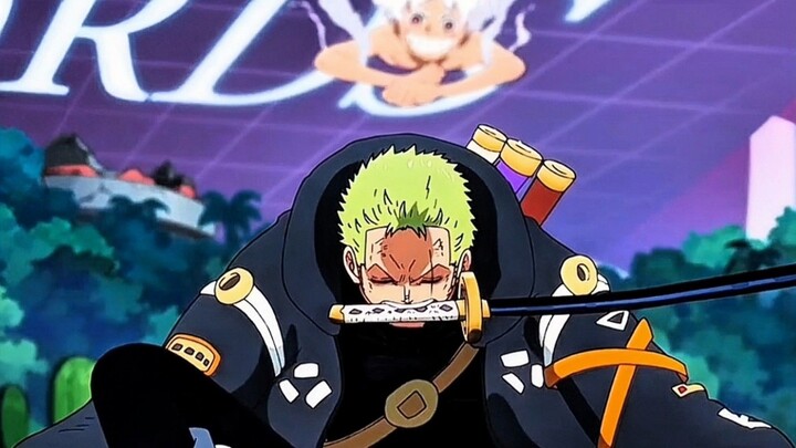 Bro Kucing ini Terlalu Meremehkan Zoro 😏