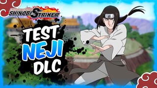 Naruto to Boruto Shinobi Striker / Test Neji (FR)