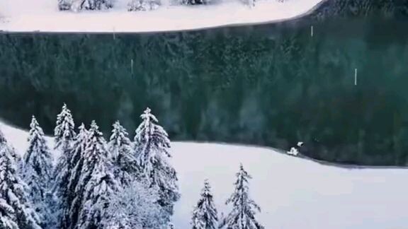 Aurora song's