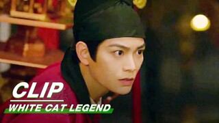 Li Bing Fights the Masked Man | White Cat Legend EP12 | 大理寺少卿游 | iQIYI