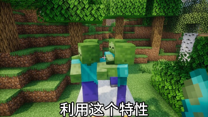 นี่คือวิธีใช้ดอกทานตะวันที่ถูกต้อง!