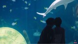 ｜BKPP｜Romantic kiss in the aquarium. It’s okay to interpret my love with your heart. It’s love.