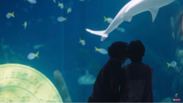 ｜BKPP｜Ciuman romantis di akuarium. Boleh saja mengartikan cintaku dengan hatimu. Itu cinta.