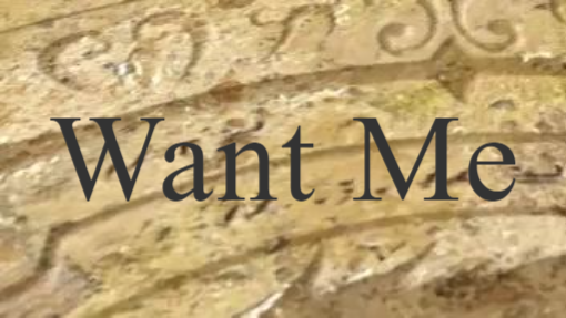 Want Me by Ryuu