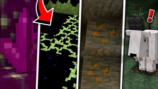 MINECRAFT 1.17 CONCEPT MODS! (1.16)