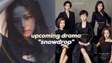 Blackpink's Jisoo to Play Lead Role in Sky Castle Director's Upcoming Drama 'Snowdrop'