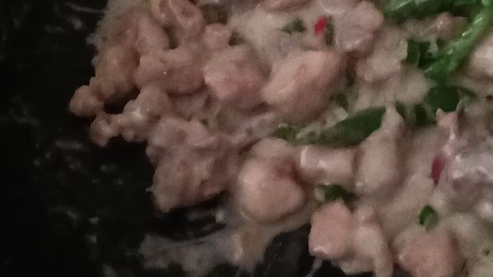 BicoL Express