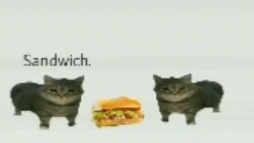 sandwich 2