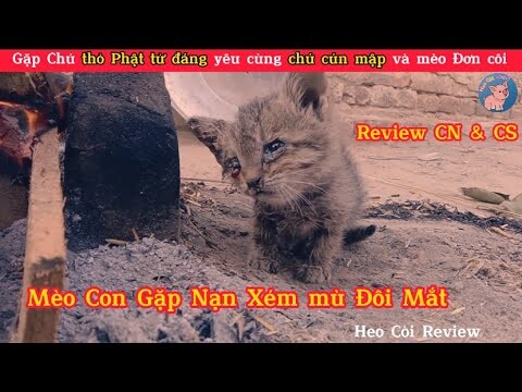 Mèo Mập Review Giải Cứu Mèo Con Gặp Nạn Chú Cún Dễ Thương & Thỏ Cute | Review Con người Và Cuộc Sống
