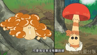 高级丝巾.我们是蘑菇