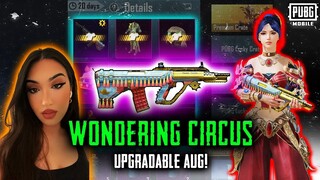 NEW WANDERING CIRCUS AUG! **MAXED** || FIRST UPGRADABLE AUG SKIN?!