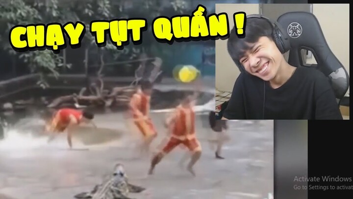 TUI XEM VIDEO FAN GỬI ... tui cười gần oẳng !!! ✔