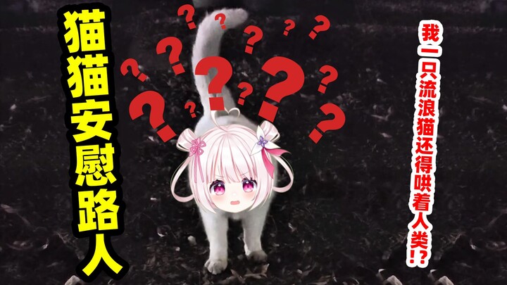 猫猫看到人类哭了也是会过来安慰的！！！