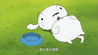 蜡笔小新·新番【小白吃胖了】
