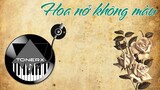 Hoa Nở Không Màu (Remix) - Hoài Lâm - ToneRx
