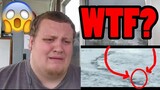 5 Most Mysterious & Unidentified Creatures Caught On Camera REACTION!!!