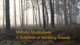 Melodic Meditations: A Selection of Soothing Sounds