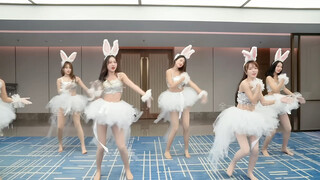 Vũ điệu thỏ phiên bản đầy đủ