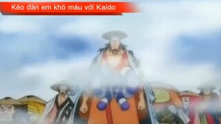 Kéo đàn em khô máu với Kaido #onepiece