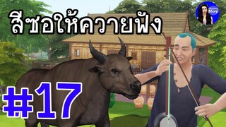 สีซอให้ควายฟัง | สำนวน สุภาษิต คำพังเพย | ใหม่จัง สตอรี่