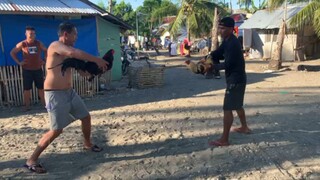 talisay pala manok ko diyan naka dalawang panalo sa isang araw sayang di na videohan yong isa