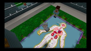 Minecraft / The Human Body By GoE-Craft