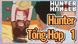 Hunter Tổng Hợp 1