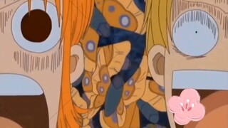 Vua Hải Tặc: Lời nói huênh hoang của Luffy, Nami và Sanji hiếm khi có điểm chung