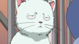 [Gintama ‖Cảnh hài hước] Thân dưới rắc rối của chú mèo bạc