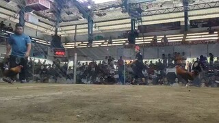 white tape sa wala, di nagsugat