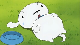 Crayon Shin-chan·New Episode【Xiaobai gets fat】